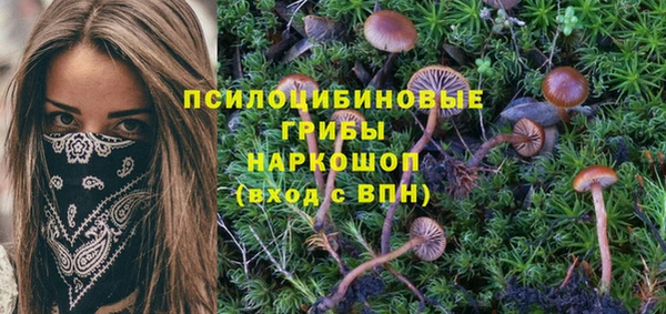 экстази Алексин