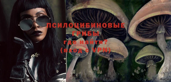 экстази Алексин