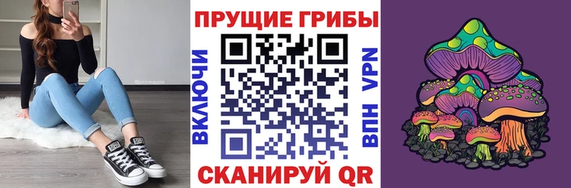 Галлюциногенные грибы Psilocybine cubensis  где найти наркотики  Новомичуринск 