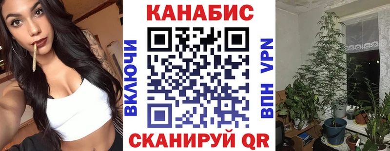 Каннабис OG Kush  Новомичуринск 